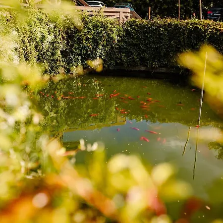 Pensjonat Lucni Czeska Skalica